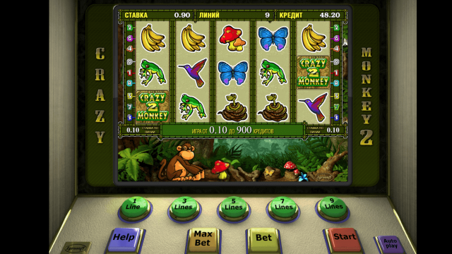 Crazy Monkey 2 9